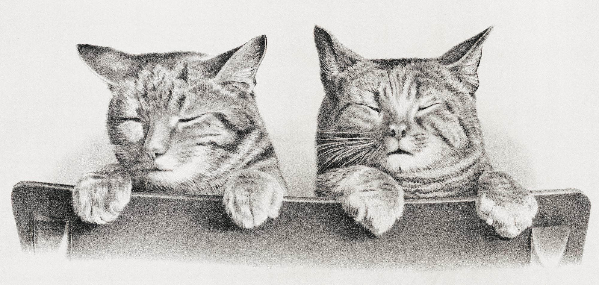 Cats (1874)