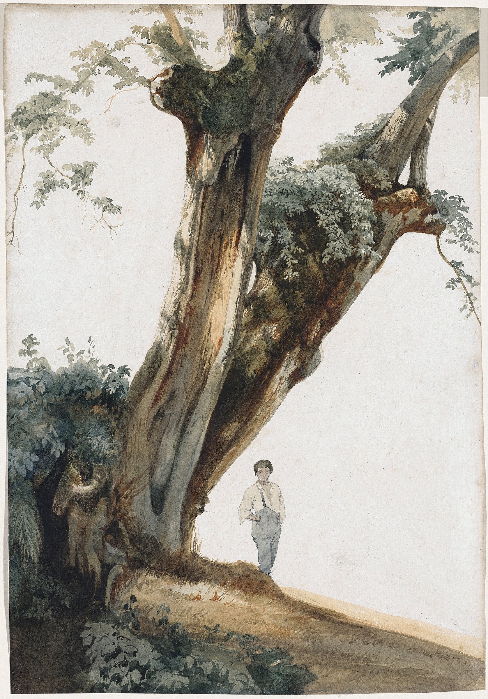 Ancient Trees in the Roman Campagna (1850s)