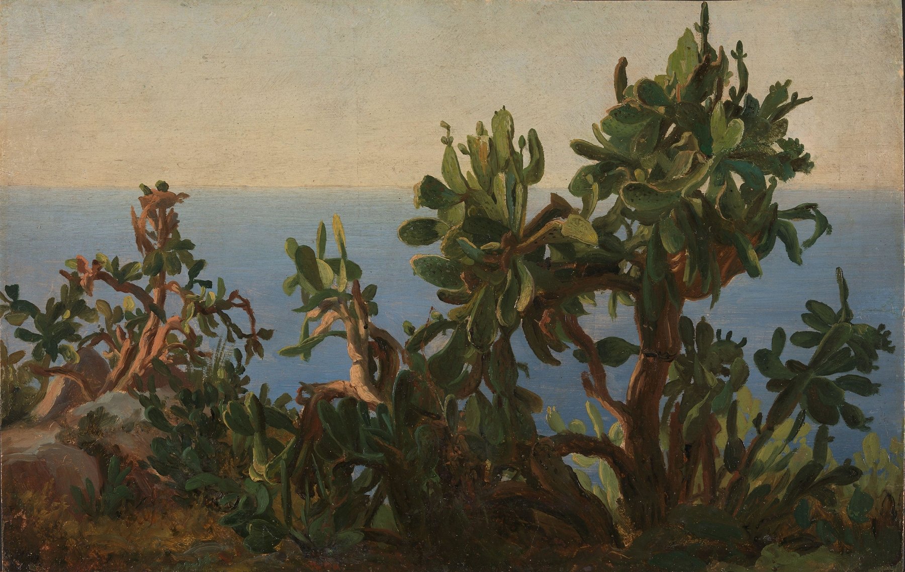 Cactus (1833-1835)