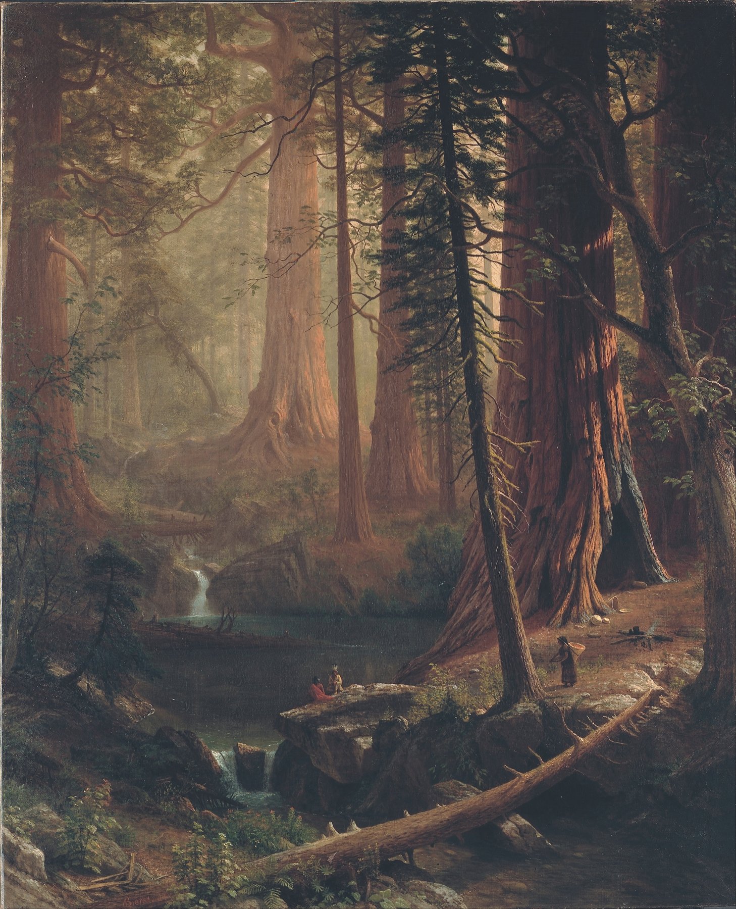 Giant Redwood Trees of California (1874)