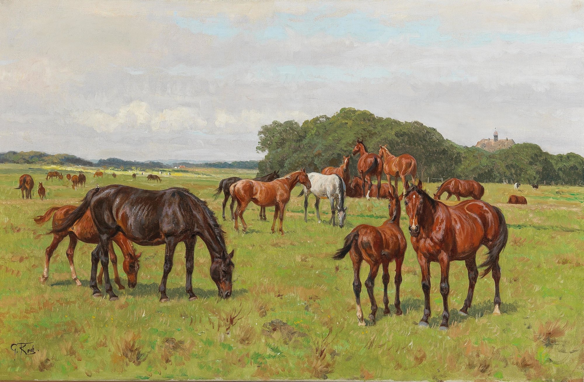 Horses in a Meadow