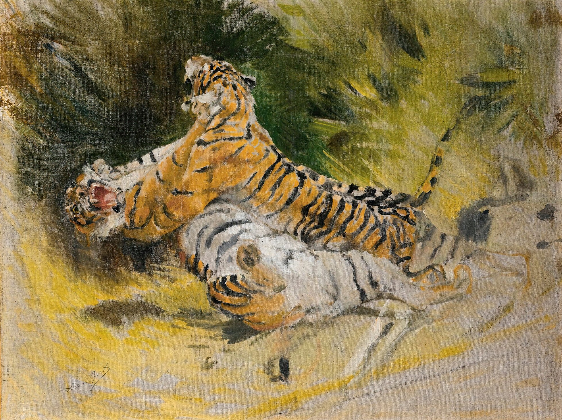 Two tigers fighting