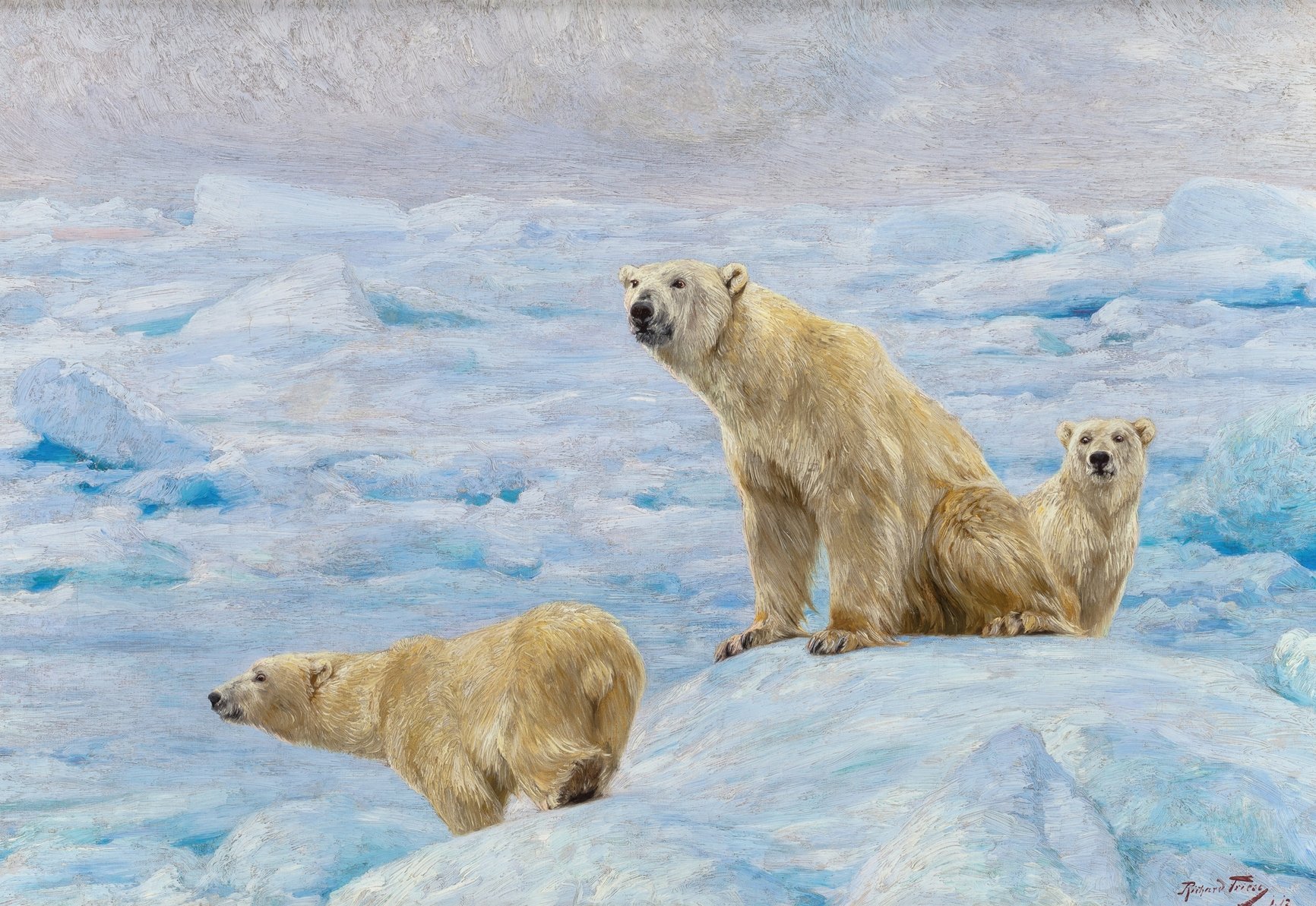 Three Polar Bears (1912)
