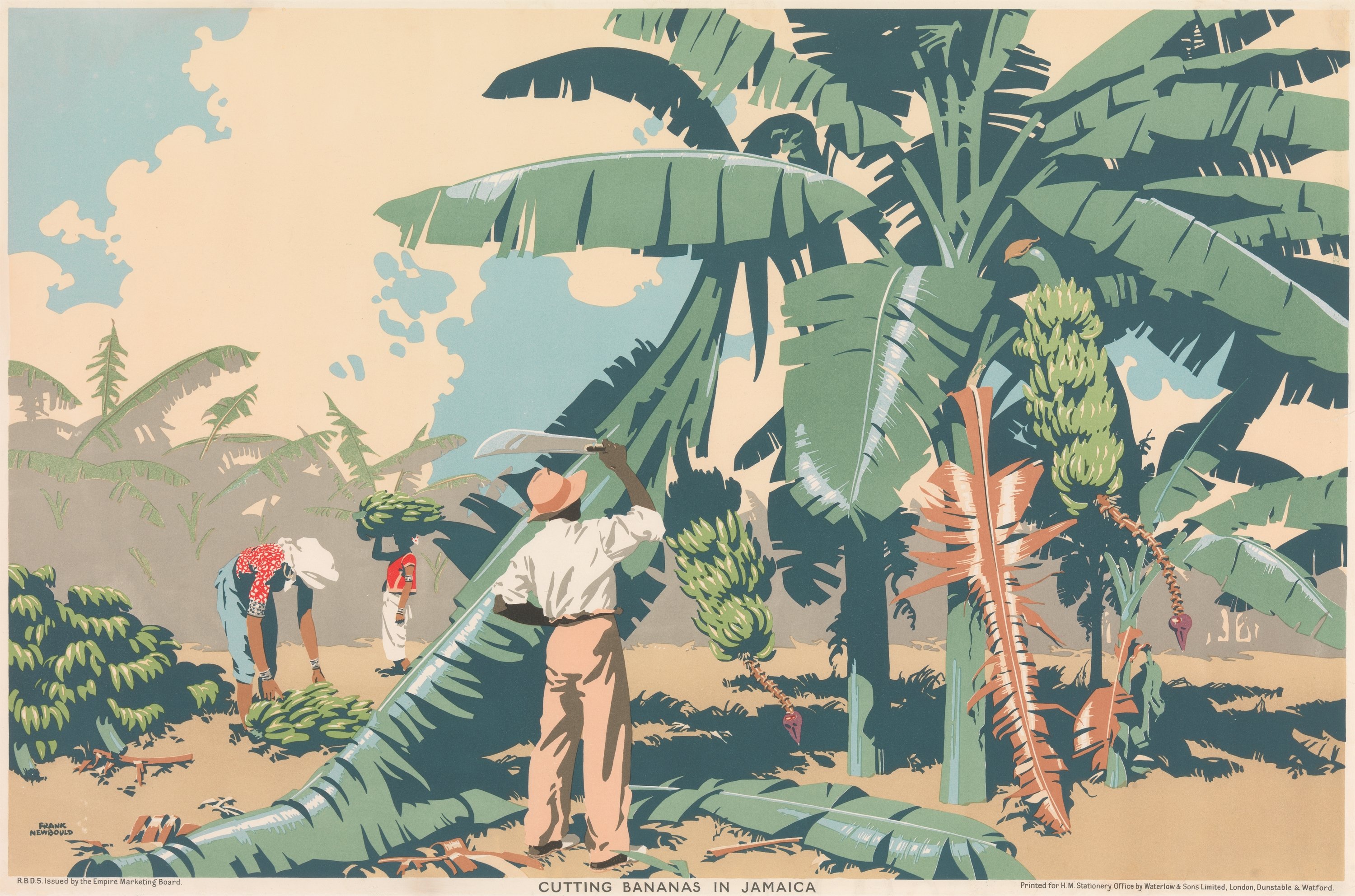 Cutting Bananas In Jamaica (1930)