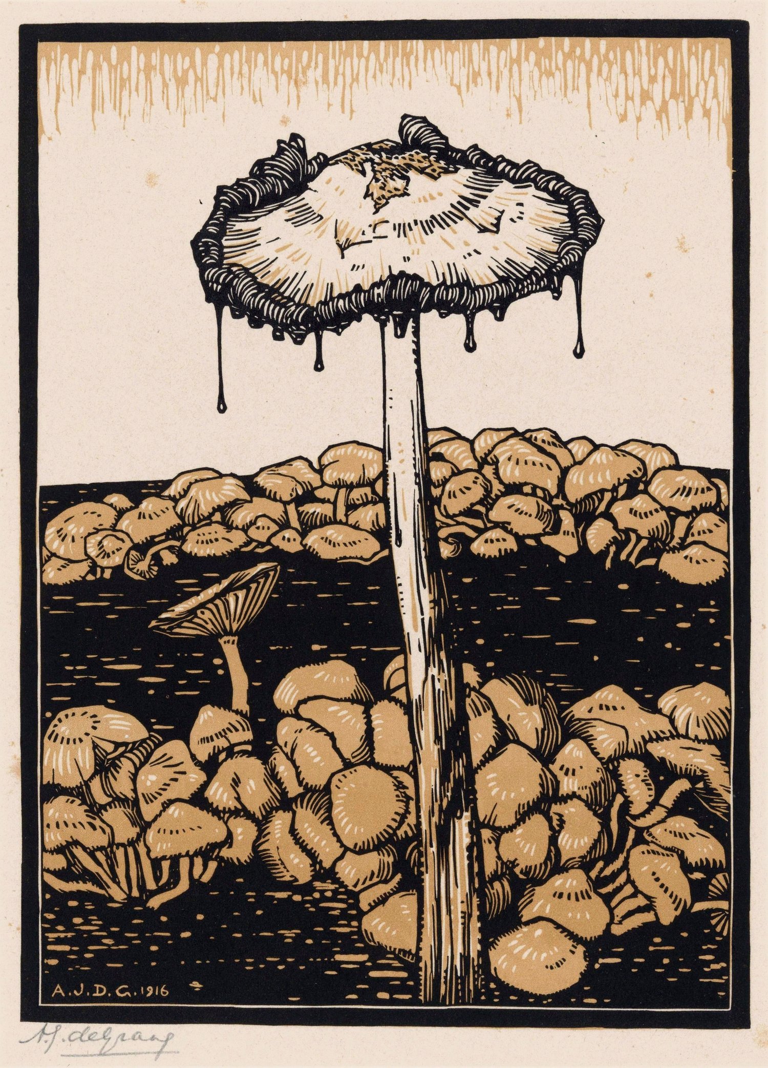 Druipende paddenstoel (1916)