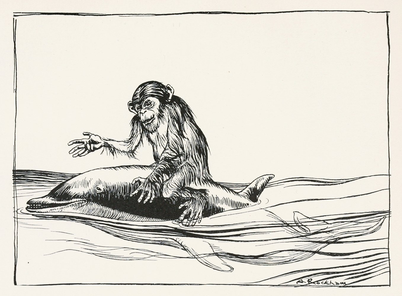 The Monkey and the Dolphin (1912)